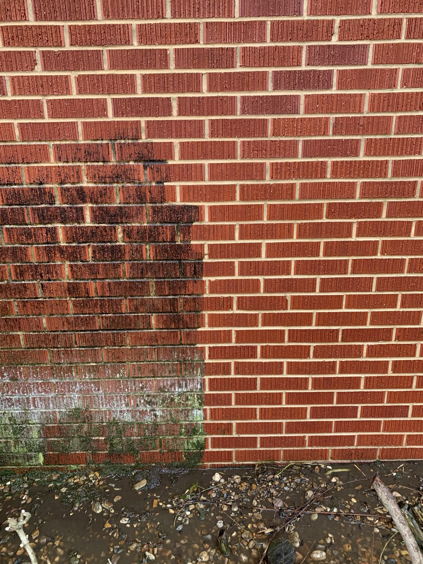 Brick surface before pressure washing